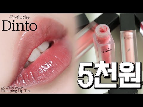 다이소 딘토💄이게 5천원?🫢세뱃돈 들고 전색상 리뷰 Go 프릴루드 딘토 라벨르 로즈 플럼핑 립 틴트