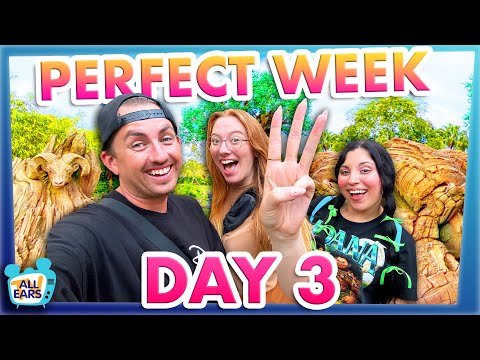 The Secret to the PERFECT DAY at Animal Kingdom -- Disney World Perfect Week Day 3