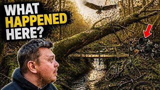 Finding A Hidden Nature Reserve 