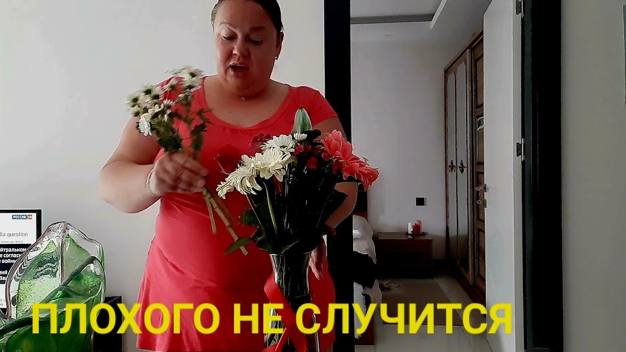 Вот такое вот моё утро в аланье