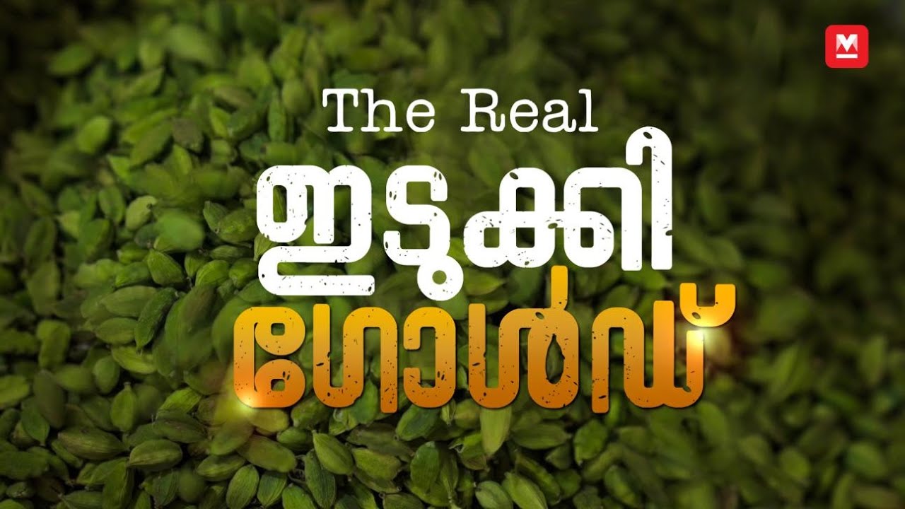 ഇടുക്കിയുടെ KGF | Story Of Idukki's Great Indian Green Cardamom