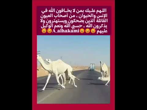 اللهم عليك بمن لا يخافون الله في الإنس والحيوان ، من أصحاب العيون القاتلة ، الذين يقتلون ويضحكون ..!