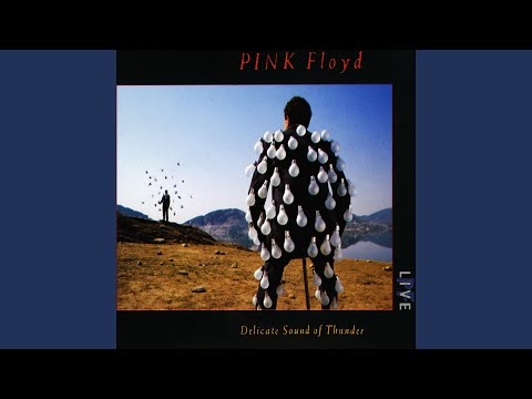 Learning to Fly (Live)
