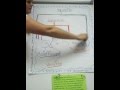 Understanding Expressions and Their Components