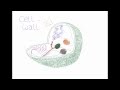 Exploring Cell Wall and Membrane Structures
