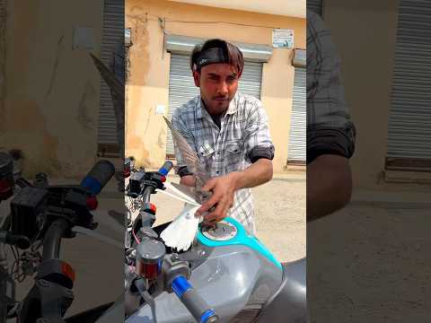 😯🕊️ समझदार कबूतर🥲😍#kabutar #dosti #shorts❤️#Kabutar #training #video #Namaaz 🕊️😍#dosti