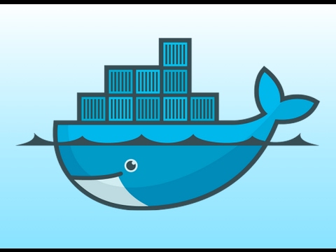 udemy docker and kubernetes the complete guide