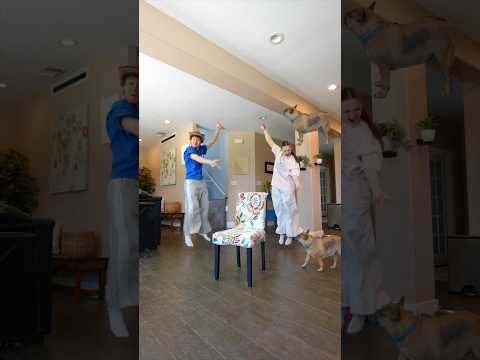THE DOG GETTING ONE🤣🐶‼️ #dance #trend #duet #shortvideo #shorts #couple