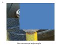 Understanding the Transcript