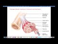 Muscle Contraction and Tissue Types