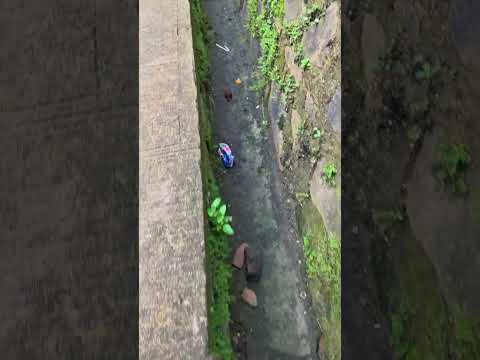 alghi jangan nangis, nih ayah bantuin cari bola nya #trending