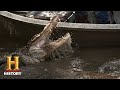 Alligator Hunting Challenges and Strategies