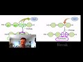Macromolecules and Their Functions