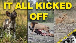 Pups at a New Den, Cubs Caught in the Middle, and One Instinctive Leap | Virtual Safari #345