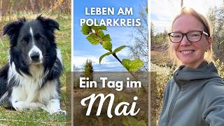 🇸🇪 Polarkreis-Vlog: Ein ganz normaler Mai-Tag ☀️