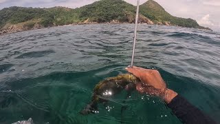 HINDI NABIGO SA KABILANG ISLA