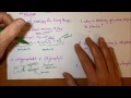 Photosynthesis Concepts and Processes