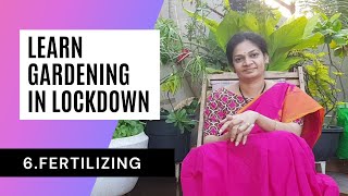 6.Fertilising #Learn Gardening In Lockdown Series  #madgardener  #terrace garden  #vegetablegarden