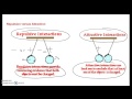 Electrostatics and Charge Interactions