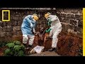 Understanding the Ebola Outbreak