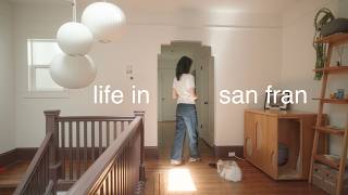 slow living in san francisco 🍃 foraging, meal prep, new shops, making friends