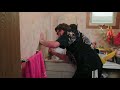 Home Renovation Challenges and Solutions