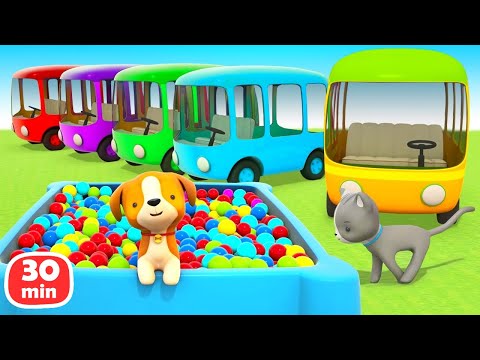 Colorful buses are coming from their garage to become colorful and help animals in the city.