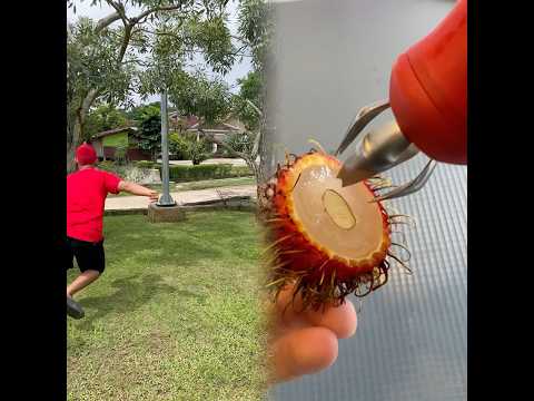Kalian ada ga temen yang kalo main kejer kejeran tu mainya cimbitan #shorts #lucu #kocak #pov 🤠