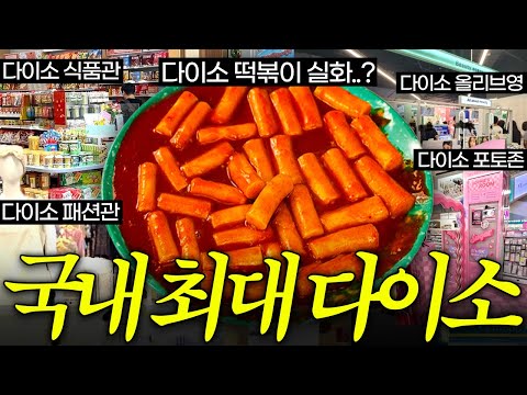 전국에서 가장 큰 800평 다이소 식품관 다 털어왔습니다