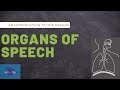 Speech Production Mechanisms and Functions