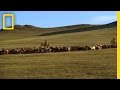 Mongolian Environmental Challenges and Efforts