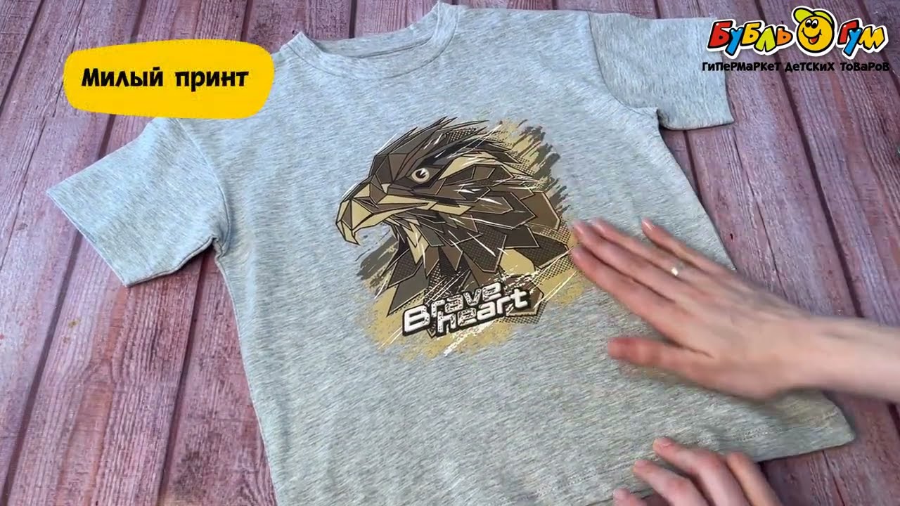 Футболка Lanson Kids с надписью brave heart серая - видео