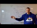 Adaptations and Characteristics of Shore Organisms
