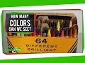 Understanding Human Color Perception
