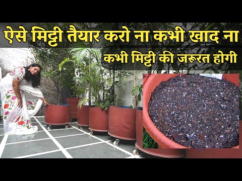 30 Fruit Plants की मिट्टी कैसे तैयार करें,ऐसे MITTI तैयार करो ना कभी खाद ना कभी मिट्टी की जरूरत होगी