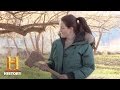 Survival Gear and Techniques