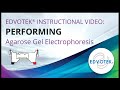 Electrophoresis Experiment Procedures