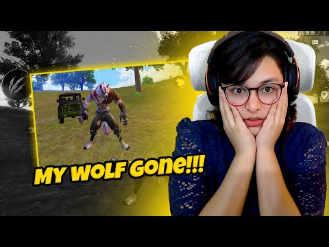 My wolf got crushed | Solo vs Squad Funny PUBG Live Highlights