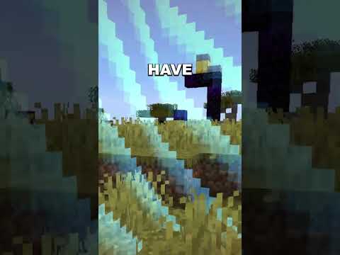 Minecraft, But Taking Damage Expands The Border...
