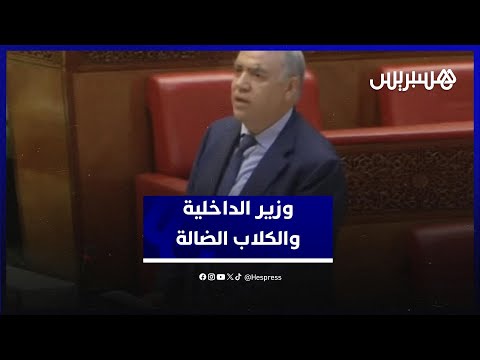وزير الداخلية: هناك جهات تسعى لضرب صورة المغرب عبر إثارة موضوع الكلاب الضالة عبر معطيات مغلوطة