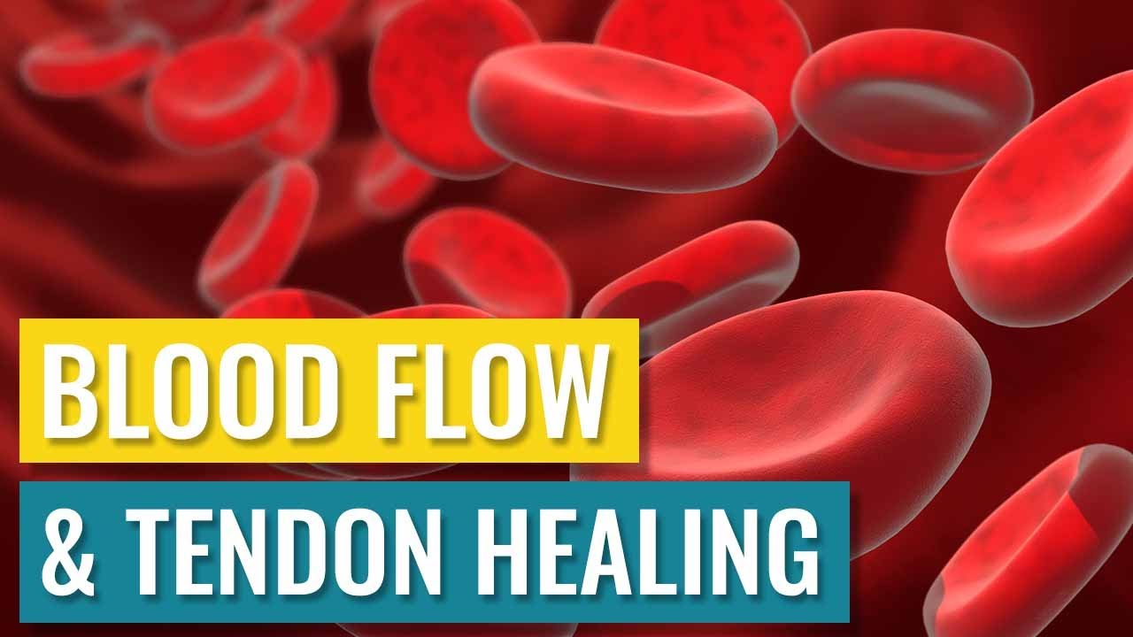 How To Increase Blood Flow To Tendons And Ligaments
