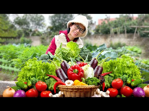 Visit the backyard garden and harvest radishes, beans, cauliflower and vegetables for the evening