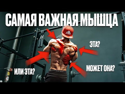 Сила кроется именно в этом!