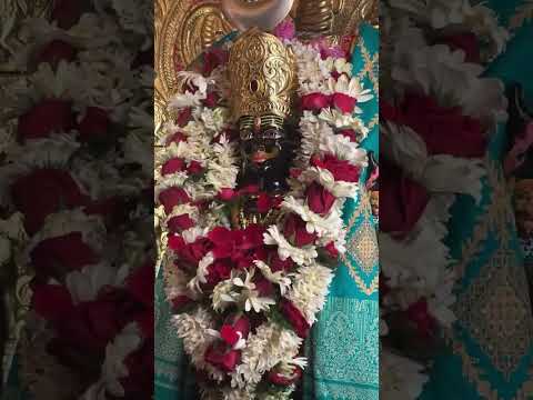 Ravivar Aarti is live