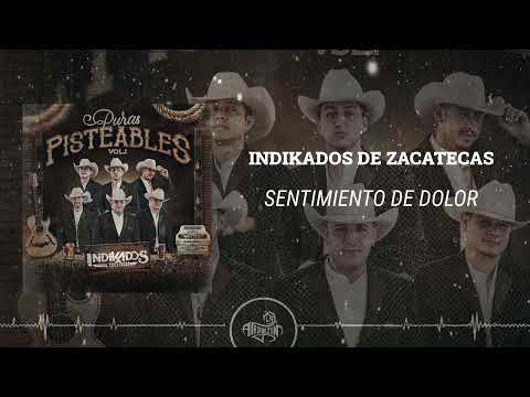 Indikados de Zacatecas - Sentimiento de Dolor (En vivo 2025)