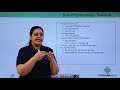 Understanding Sole Proprietorships