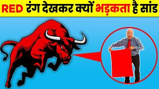 लाल रंग देखकर क्यों भड़कता है सांड ? | Why Bulls Hate Red Color Cloth ? | Most Amazing Facts | FE #7