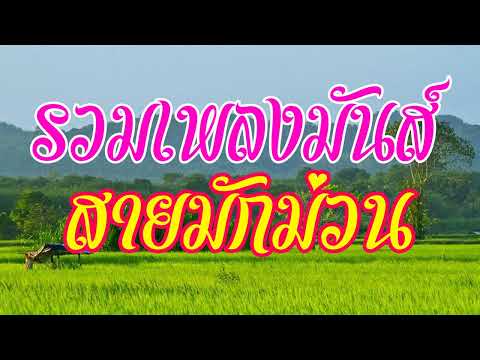 รวมเพลงมันส์ สายมักม่วน