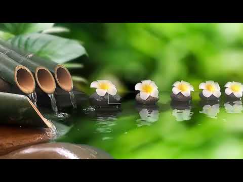 Relaxing Piano Music and Water Sound, Relaxing Music, Stress Relief, Meditation Music, Study & Yoga.
