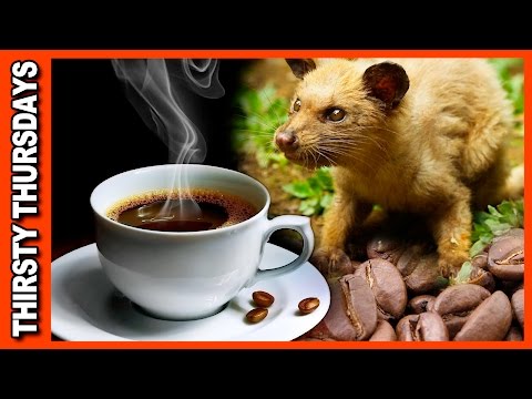 How To Make Luwak Coffee With Milk 08 2021